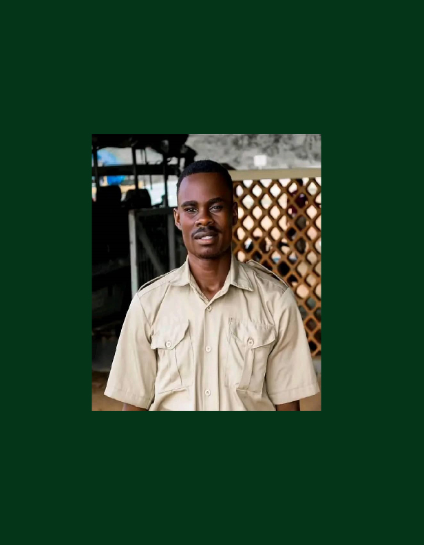 Team Member 2