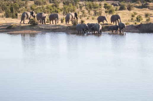 Lake Mburo Safari