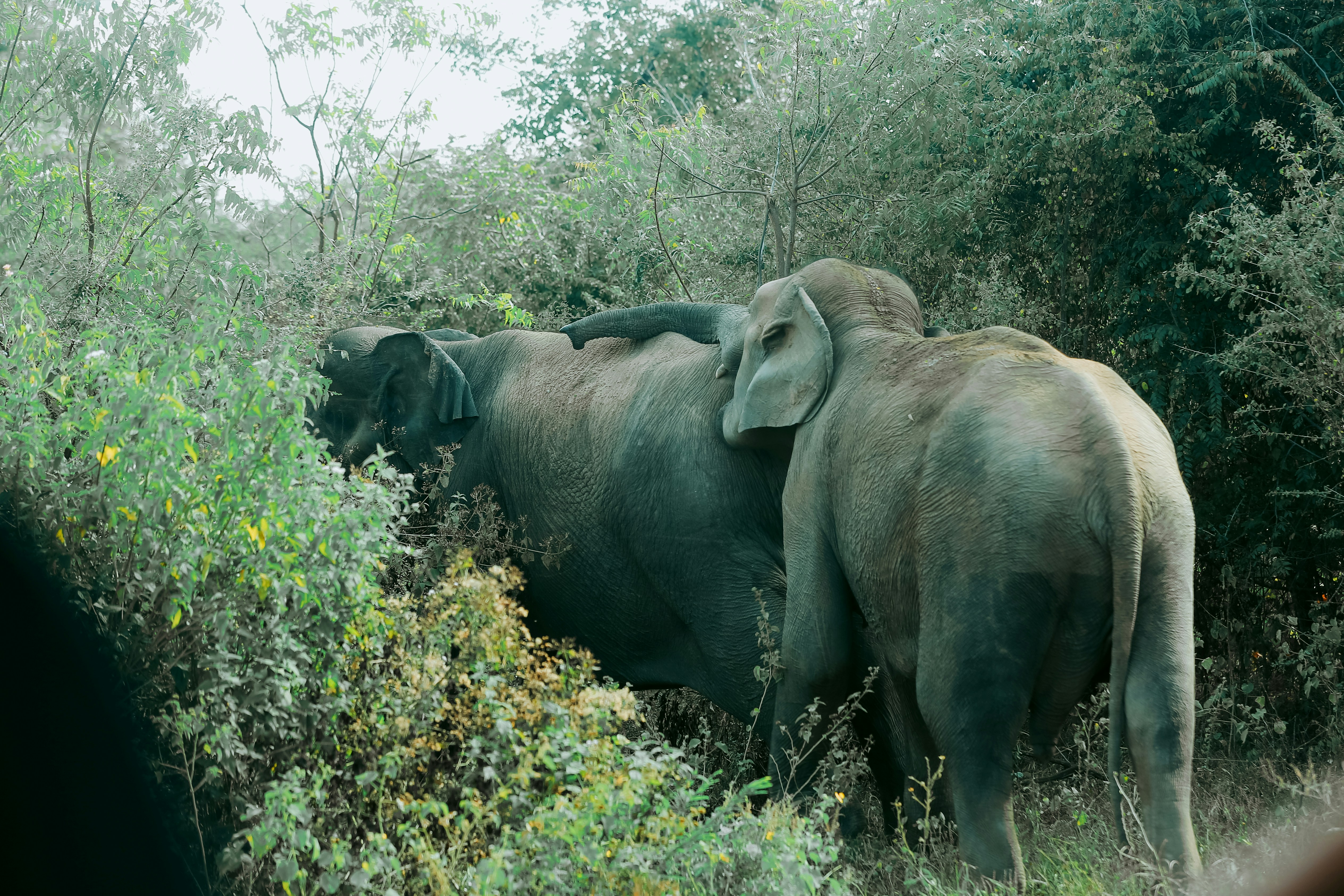 Semuliki Valley National Park